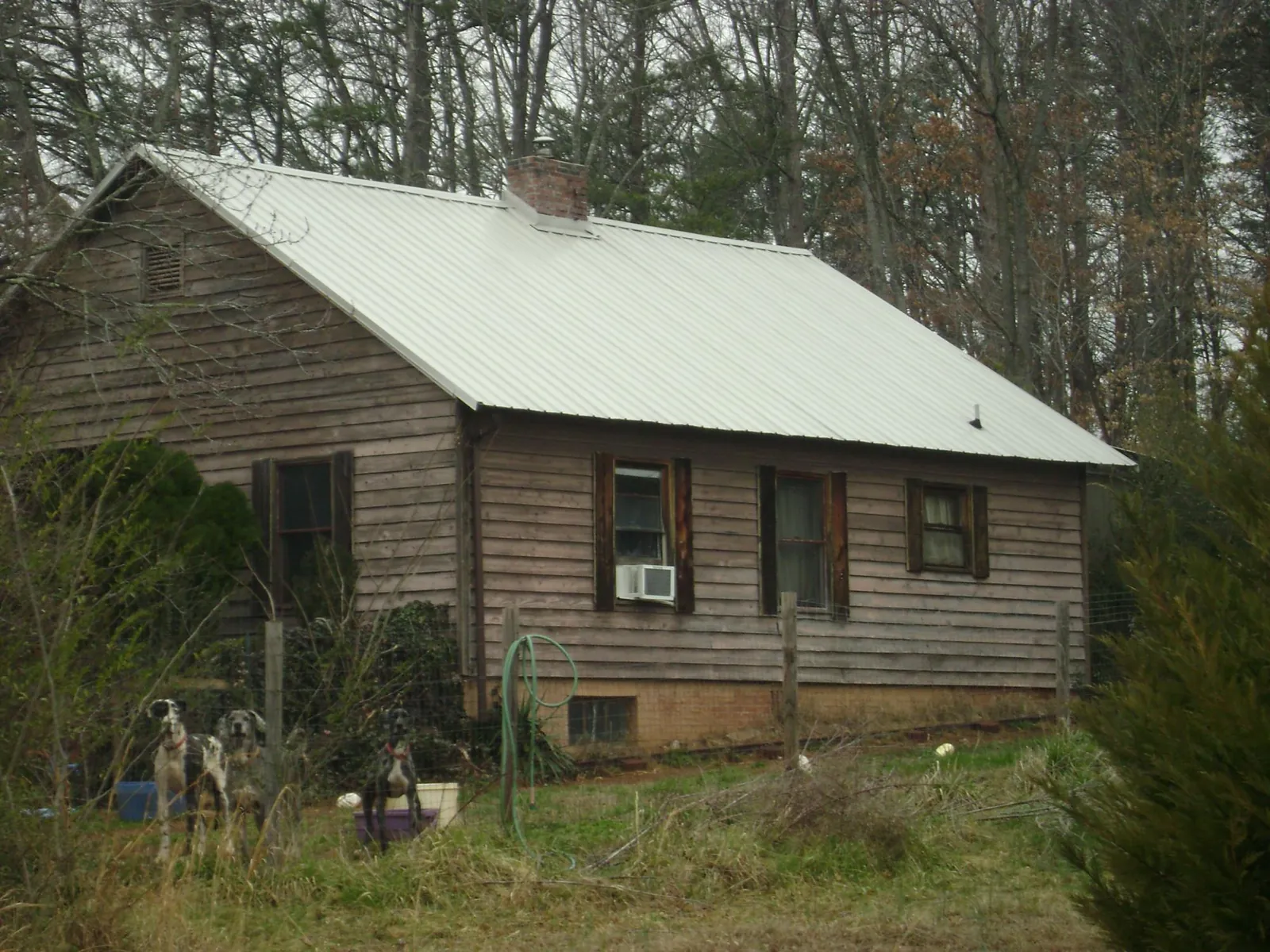 White metal roof on an old wood sided farmhouse, from a Asphalt Shingle Roof Repair job in Santa Ysabel